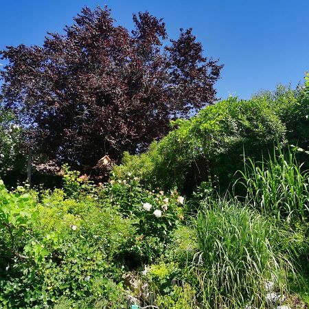Naehe Spieleland Διαμέρισμα Vogt Εξωτερικό φωτογραφία